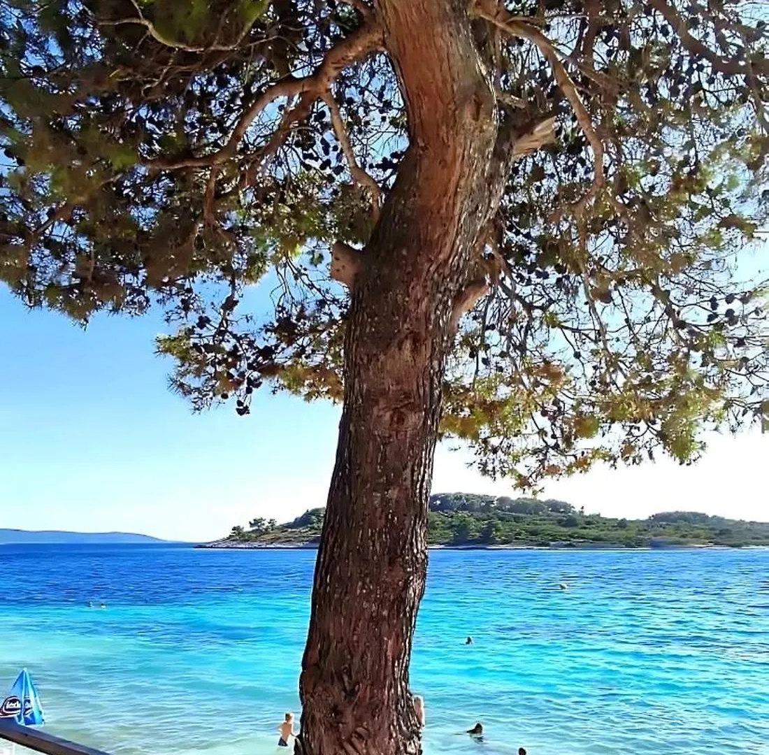 Villa Cosy Trogir 0*,  Croatia